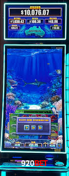 Premium Interface 920bet